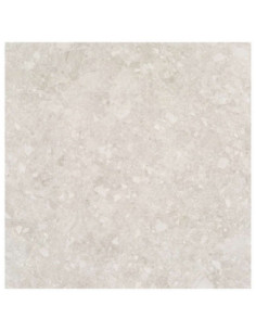 Azulejo Porcelanico 60X60 Platera Stonepath White Pf Porcelanico Suelo Exterior Porcelanico Piedraporcelanicoblanco