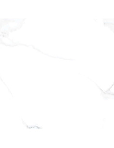 Azulejo Porcelanico 60X120 Prissmacer Calacatta Blanco Pul Porcelanico Suelo Exterior Porcelanico Azulejosmarmolblanco