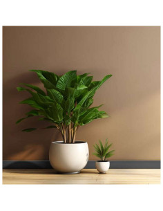 Azulejo Revestimiento 5X25 Leon Rodapie Camaleon Romo Revestimiento Pared Interior Rodapiescolorotros