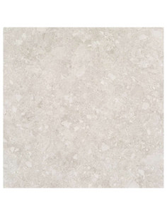 Azulejo Porcelanico 60X60 Platera Stonepath White Pf Porcelanico Suelo Exterior Porcelanico Azulejospiedrablanco