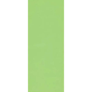 Alternative view of Porcelanico 30X60 MAT 1AC Monocolor Verde